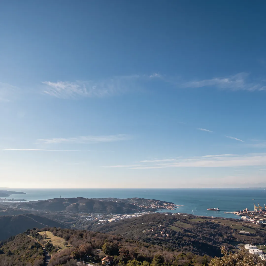 The Gulf of Trieste seen from the Karst edge above Socerb on a clear morning: wooded hills in the foreground; beyond, on the left the port of Koper with the Ankaran headland, in the centre the Muggia peninsula and its town, on the right the cranes of the port of Trieste.